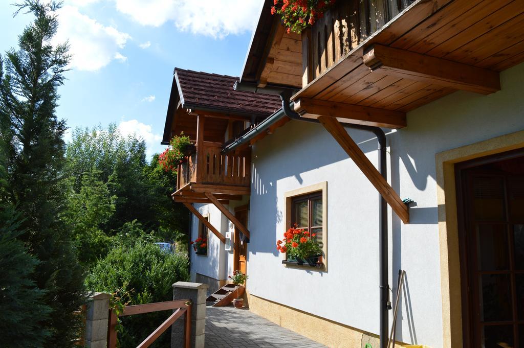 Pension Druhy Domov Nový Bor 외부 사진